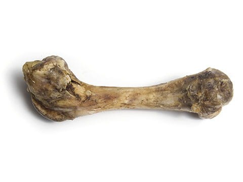 ARGOS KOSC NATURALNA WP. DLA PSA.jpg