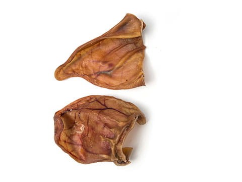 ARGOS UCHO WIEPRZOWE 1 SZT DLA PSA.jpg