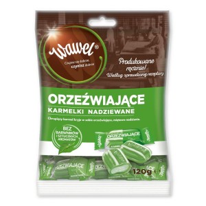 WAWEL KARMELKI MIĘTOWE 105G