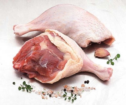 NOGA KACZKI PEKIN.jpg