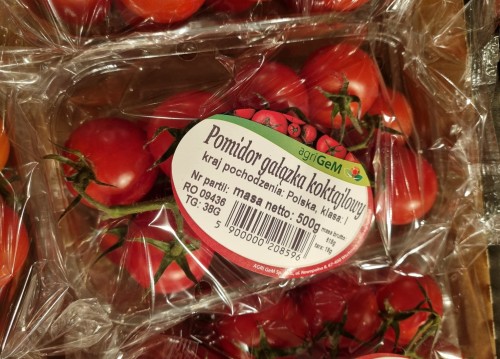 POMIDOR GAŁĄZKA.jpg