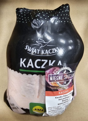KACZKA PEKIN.jpg