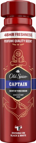 OLD SPICE CAPTAIN.jpg