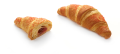 CROISANT TRUSK.png