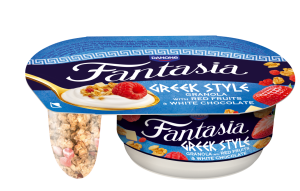 DANONE JOGURT FANTASIA GREEK STYLE Z GRANOLĄ 100G