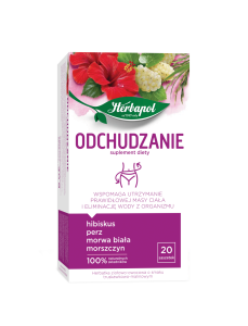 HERBAPOL HERBATA ODCHUDZANIE 20TB