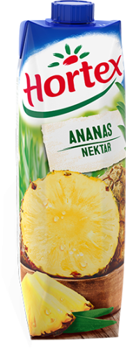 hortex_nektar_ananas_1l.png