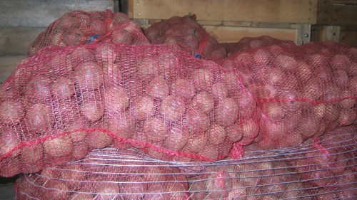 BURAK CZERWONY 10KG.jpg