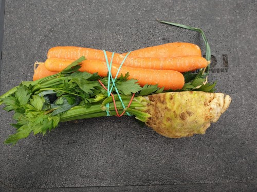 WŁOSZCZYNA PĘCZEK.jpg