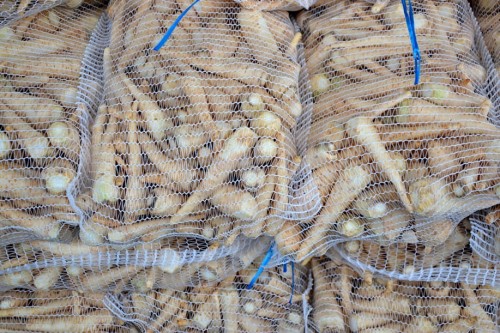 PIETRUSZKA WOREK.jpg