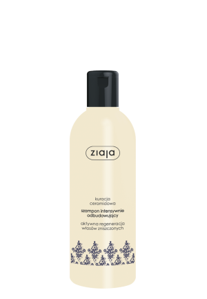 szampon-intensywna-odbudowa-ceramidy-300ml.png
