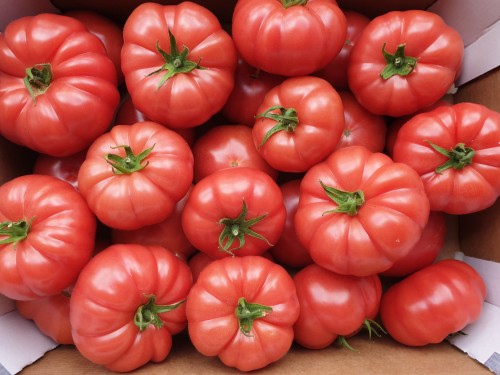 POMIDOR MALINOWY PL.jpg