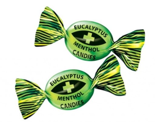 MIESZKO EUKALIPTUS.jpg