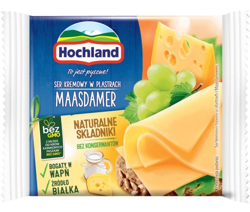 topiony-plastry-maasdamer.jpg